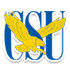 马里兰大学学院市分校